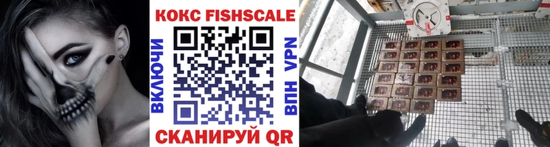 дарнет шоп  Курильск  COCAIN VHQ 