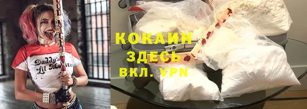 шишки Богородск