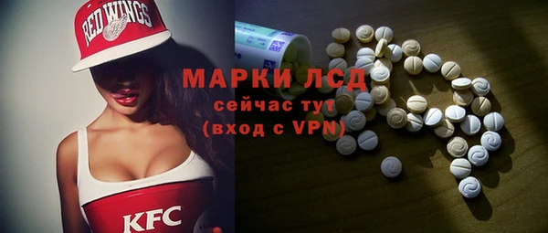 шишки Богородск