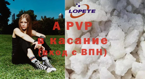 шишки Богородск