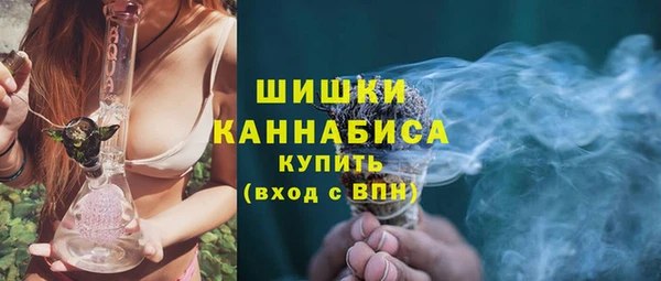 шишки Богородск