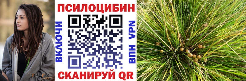 Псилоцибиновые грибы Psilocybine cubensis Курильск